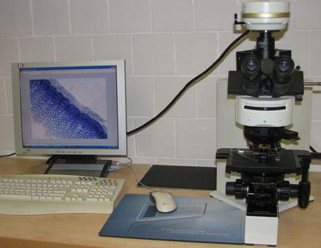 mikroskop Fluoview 1000